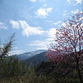 IMG_0535.JPG