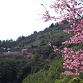 IMG_0537.JPG
