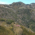 IMG_0556.jpg
