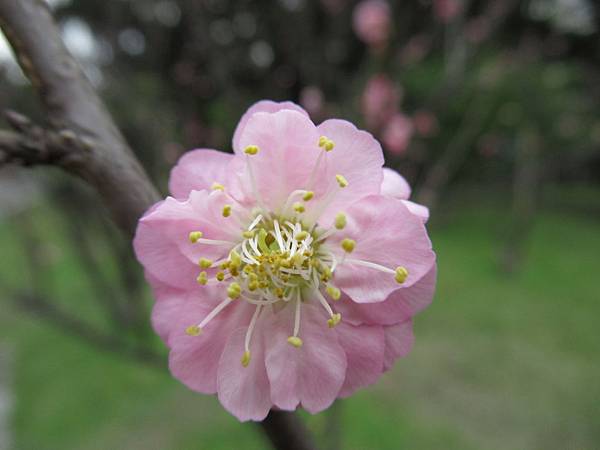 IMG_0561.JPG
