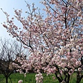 IMG_0681.JPG
