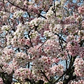 IMG_0683.JPG
