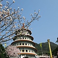 IMG_0690.JPG