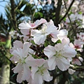 IMG_0719.JPG