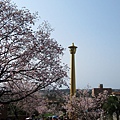 IMG_0745.JPG
