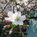 IMG_0782.JPG