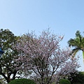 IMG_0794.JPG