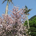 IMG_0808.JPG