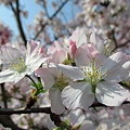 IMG_0814.JPG