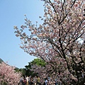 IMG_0824.JPG