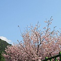 IMG_0867.JPG