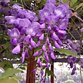 IMAG0366.jpg