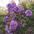 IMAG0370.jpg
