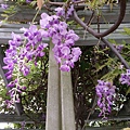 IMAG0388.jpg