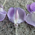 IMAG0409.jpg