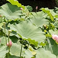 IMAG2423.jpg