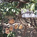 IMAG4187.jpg
