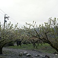 IMAG3526.jpg