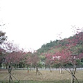 IMAG3532.jpg