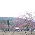 IMAG3545.jpg