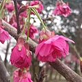IMAG3582.jpg