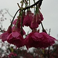 IMAG3584.jpg