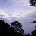 IMGP6482.JPG