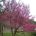 IMGP4380.JPG