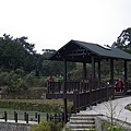 IMGP4804.JPG