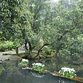 IMGP4847.JPG