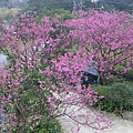 IMGP4878.JPG