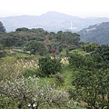 IMGP4778.JPG
