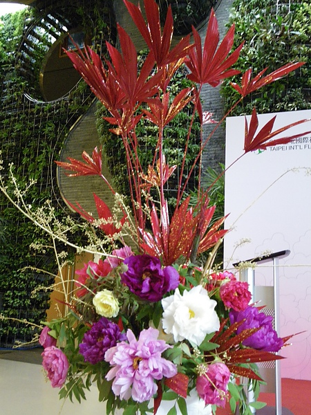 IMGP3952.JPG