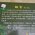 IMGP4586.JPG