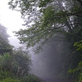 IMGP6491.JPG