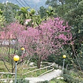 IMGP4591.JPG