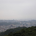 IMGP4761.JPG