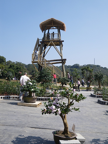 IMGP4165.JPG