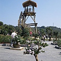 IMGP4165.JPG