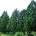 IMGP6479.JPG