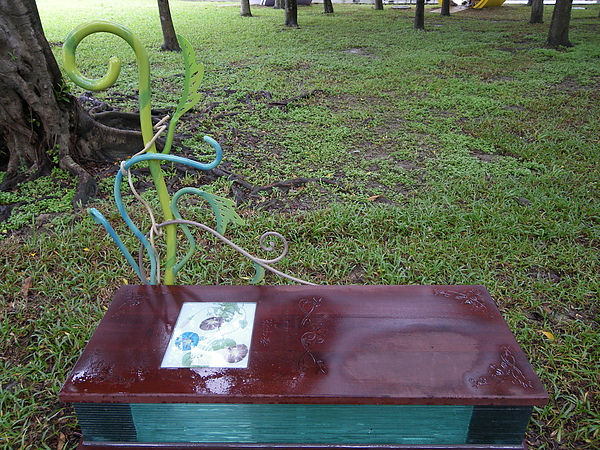 IMGP1408.JPG