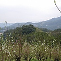 IMGP4751.JPG