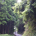 IMGP6489.JPG