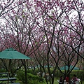 IMGP4940.JPG
