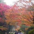 IMGP2303.JPG