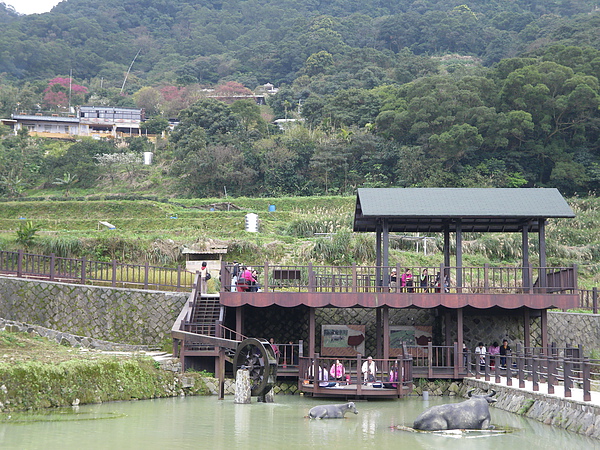 IMGP4812.JPG