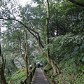 IMGP4861.JPG