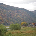 IMGP2206.JPG