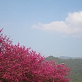 IMGP1188.JPG