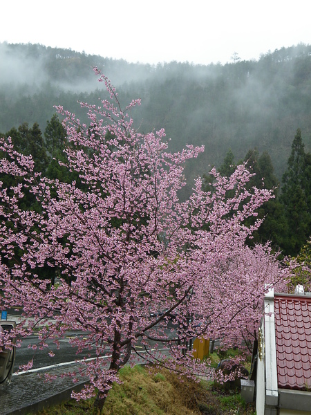 IMGP1311.JPG
